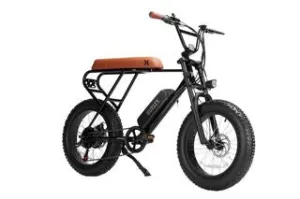 Hurley Mini Swell E-Bike