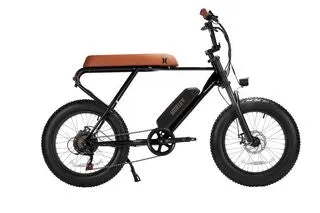 Hurley Mini Swell E-Bike